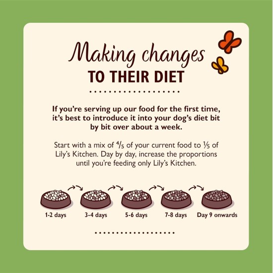 Lily's Kitchen Natural Wet Food for Adult Dogs Tin - Beef Goulash - Dog Food Grain-Free Recipe (6 x 400 g Cans) Lily's Kitchen Natural Wet Food for Adult Dogs Tin - Beef Goulash - Dog Food Grain-Free Recipe (6 x 400 g Cans)