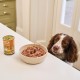 Lily's Kitchen Natural Wet Food for Adult Dogs Tin - Beef Goulash - Dog Food Grain-Free Recipe (6 x 400 g Cans) Lily's Kitchen Natural Wet Food for Adult Dogs Tin - Beef Goulash - Dog Food Grain-Free Recipe (6 x 400 g Cans)