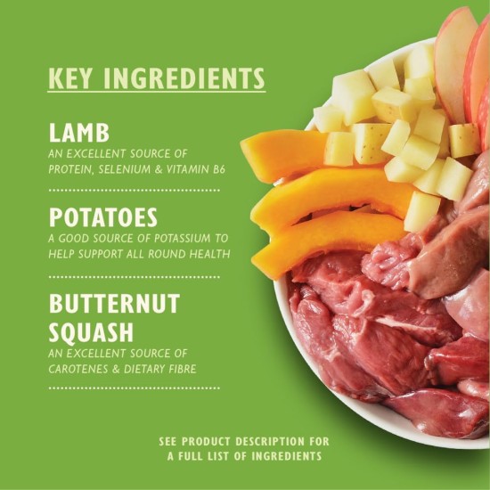 Lily's Kitchen Natural Wet Food for Adult Dogs Tin - Beef Goulash - Dog Food Grain-Free Recipe (6 x 400 g Cans) Lily's Kitchen Natural Wet Food for Adult Dogs Tin - Beef Goulash - Dog Food Grain-Free Recipe (6 x 400 g Cans)