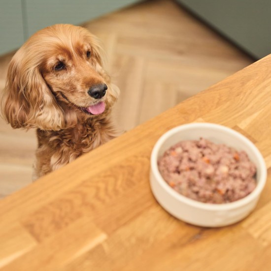 Lily's Kitchen Natural Wet Food for Adult Dogs Tin - Beef Goulash - Dog Food Grain-Free Recipe (6 x 400 g Cans) Lily's Kitchen Natural Wet Food for Adult Dogs Tin - Beef Goulash - Dog Food Grain-Free Recipe (6 x 400 g Cans)