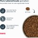 MERA Pure Sensitive Insect Protein Dog Food, Dry Food with Insect Protein for Sensitive Dogs, Hypoallergenic and Environmentally Friendly (12.5 kg) MERA Pure Sensitive Insect Protein Dog Food, Dry Food with Insect Protein for Sensitive Dogs, Hypoallergenic and Environmentally Friendly (12.5 kg)