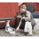 Magnusson Meat & Biscuit Work, Pack of 1 x 14 kg Magnusson Meat & Biscuit Work, Pack of 1 x 14 kg