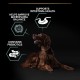 PRO PLAN Athletic Sensitive Large Adult Dry Dog Food Lamb 14kg PRO PLAN Athletic Sensitive Large Adult Dry Dog Food Lamb 14kg