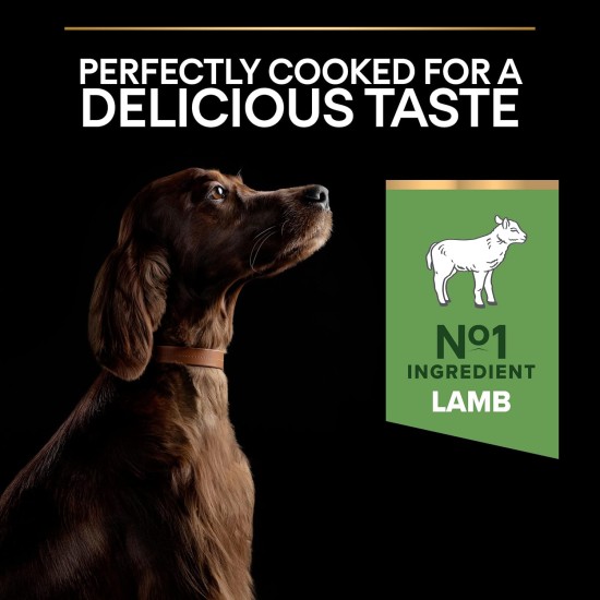PRO PLAN Athletic Sensitive Large Adult Dry Dog Food Lamb 14kg PRO PLAN Athletic Sensitive Large Adult Dry Dog Food Lamb 14kg