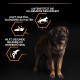 PRO PLAN Large Robust Adult Dry Dog Food Chicken 14kg PRO PLAN Large Robust Adult Dry Dog Food Chicken 14kg