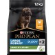 PRO PLAN Large Robust Puppy Dry Dog Food Chicken 12kg PRO PLAN Large Robust Puppy Dry Dog Food Chicken 12kg