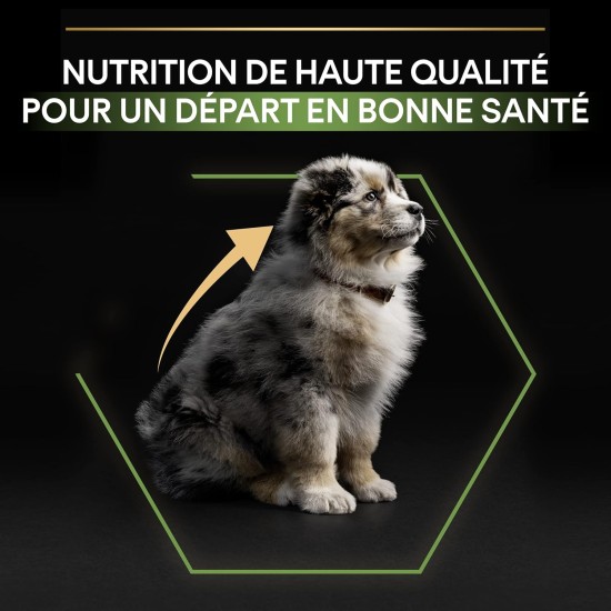PRO PLAN Medium Puppy Dog Food Chicken 12kg PRO PLAN Medium Puppy Dog Food Chicken 12kg