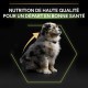 PRO PLAN Medium Puppy Dog Food Chicken 12kg PRO PLAN Medium Puppy Dog Food Chicken 12kg