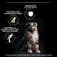 PRO PLAN Medium Puppy Dog Food Chicken 12kg PRO PLAN Medium Puppy Dog Food Chicken 12kg