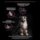 PRO PLAN Medium Puppy Sensitive Skin Dry Dog Food Salmon 12kg