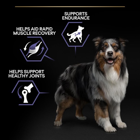 PRO PLAN Performance Adult Dry Dog Food Chicken 14kg PRO PLAN Performance Adult Dry Dog Food Chicken 14kg