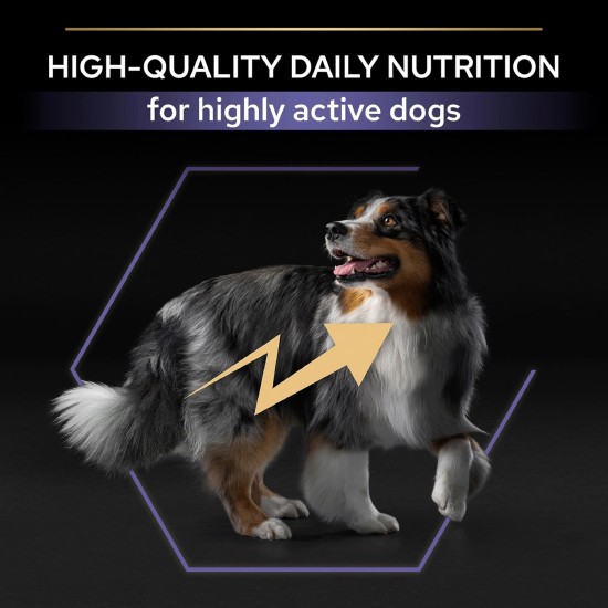 PRO PLAN Performance Adult Dry Dog Food Chicken 14kg PRO PLAN Performance Adult Dry Dog Food Chicken 14kg