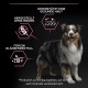 PRO PLAN Sensitive Skin Medium Adult Dry Dog Food Salmon 14kg
