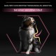 PRO PLAN Sensitive Skin Medium Adult Dry Dog Food Salmon 14kg PRO PLAN Sensitive Skin Medium Adult Dry Dog Food Salmon 14kg