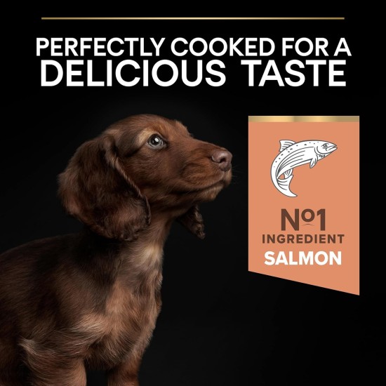 PRO PLAN Small Adult Sensitive Skin Dry Dog Food Salmon 3kg PRO PLAN Small Adult Sensitive Skin Dry Dog Food Salmon 3kg