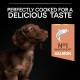 PRO PLAN Small Adult Sensitive Skin Dry Dog Food Salmon 3kg PRO PLAN Small Adult Sensitive Skin Dry Dog Food Salmon 3kg
