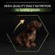 PRO PLAN Small and Mini Puppy Dry Dog Food Chicken 3kg PRO PLAN Small and Mini Puppy Dry Dog Food Chicken 3kg
