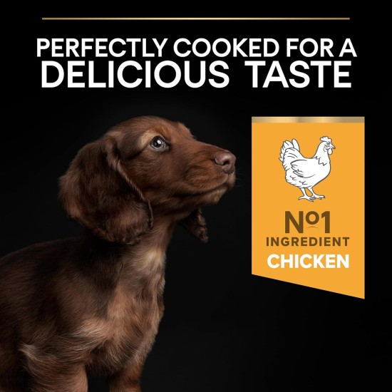 PRO PLAN Small and Mini Puppy Dry Dog Food Chicken 3kg PRO PLAN Small and Mini Puppy Dry Dog Food Chicken 3kg