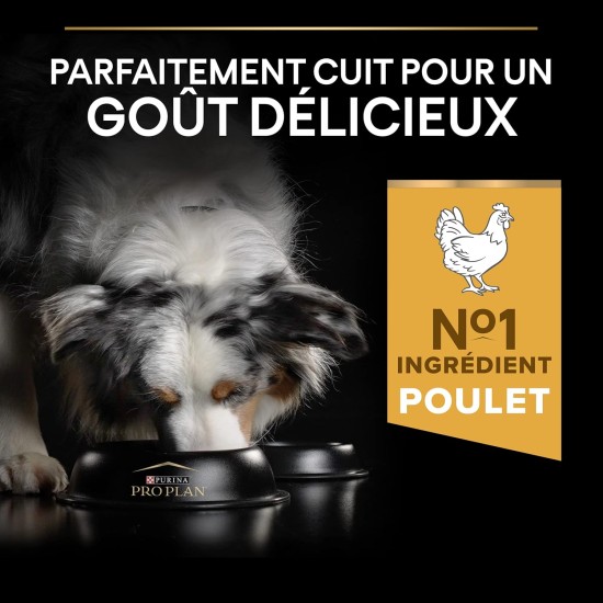 Pro Plan Adult Dog Food Chicken, Medium, 14kg Pro Plan Adult Dog Food Chicken, Medium, 14kg