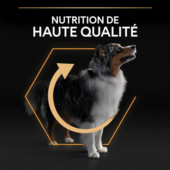 Pro Plan Adult Dog Food Chicken, Medium, 14kg Pro Plan Adult Dog Food Chicken, Medium, 14kg
