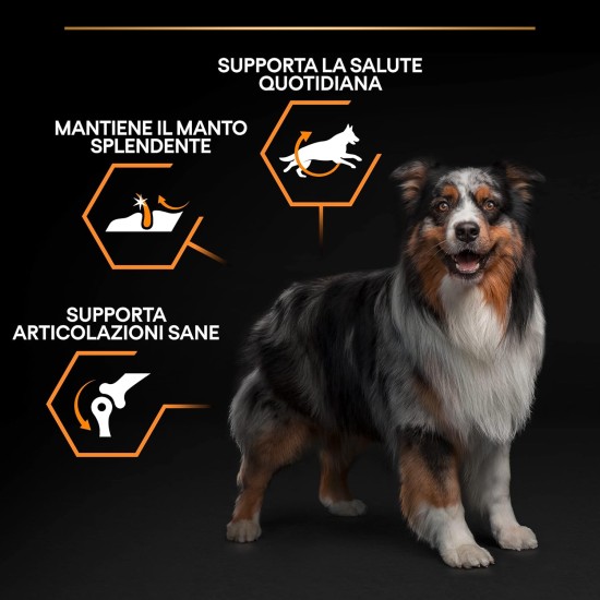 Purina ProPlan Medium Balance dog food Adult Chicken 4 x 3 kg Purina ProPlan Medium Balance dog food Adult Chicken 4 x 3 kg