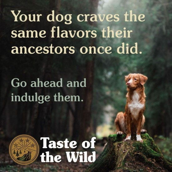 Taste of the Wild Complete Dry Wetlands with Roasted Fowl Dog Food, 2 kg Taste of the Wild Complete Dry Wetlands with Roasted Fowl Dog Food, 2 kg