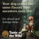 Taste of the Wild Complete Dry Wetlands with Roasted Fowl Dog Food, 2 kg Taste of the Wild Complete Dry Wetlands with Roasted Fowl Dog Food, 2 kg