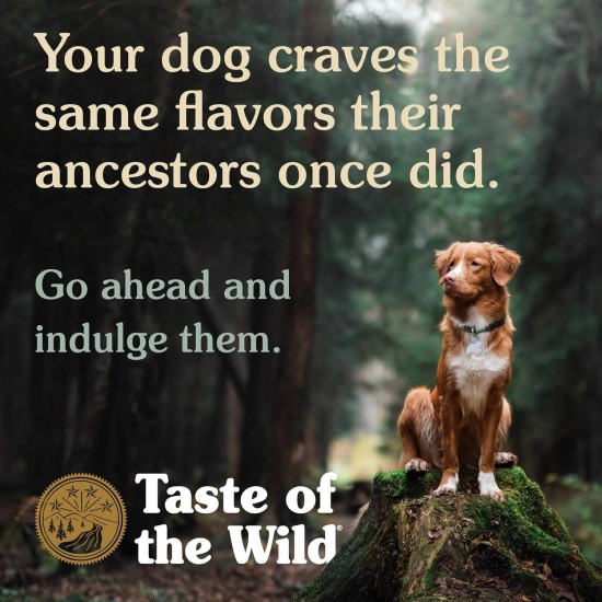 Taste of the Wild Complete Dry Wetlands with Roasted Fowl Dog Food, 2 kg Taste of the Wild Complete Dry Wetlands with Roasted Fowl Dog Food, 2 kg