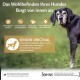 Wellness CORE Dry Dog Food, Grain-Free, High Meat Content, Various Flavours, 10 kg Wellness CORE Dry Dog Food, Grain-Free, High Meat Content, Various Flavours, 10 kg