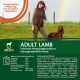 Wellness Core Dry Dog Food, Grain-Free, High Meat Content, Various Flavours. Wellness Core Dry Dog Food, Grain-Free, High Meat Content, Various Flavours.