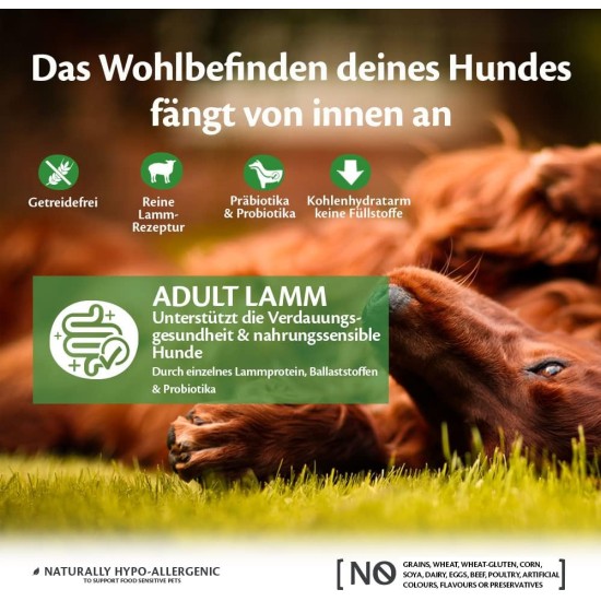 Wellness Core Dry Dog Food, Grain-Free, High Meat Content, Various Flavours. Wellness Core Dry Dog Food, Grain-Free, High Meat Content, Various Flavours.