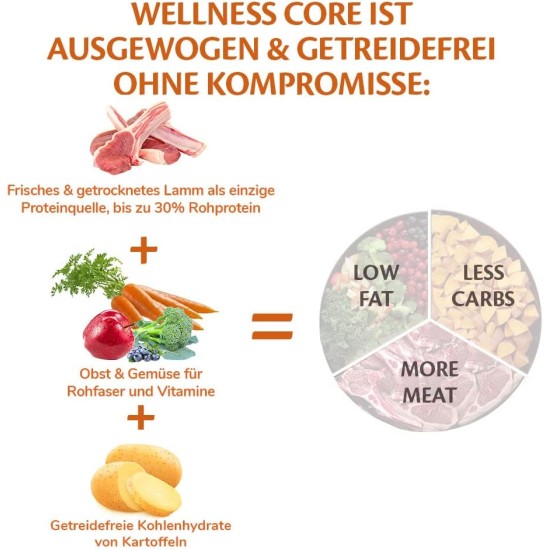 Wellness Core Dry Dog Food, Grain-Free, High Meat Content, Various Flavours. Wellness Core Dry Dog Food, Grain-Free, High Meat Content, Various Flavours.