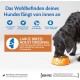 Wellness Core Dry Dog Food, Grain-Free, High Meat Content, Various Flavours. Wellness Core Dry Dog Food, Grain-Free, High Meat Content, Various Flavours.