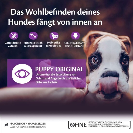 Wellness Core Puppy Dog Food, Dry Food for Puppies, Grain Free, High Meat Content, No Artificial Additives, Various Types and Sizes, 10 kg Wellness Core Puppy Dog Food, Dry Food for Puppies, Grain Free, High Meat Content, No Artificial Additives, Various Types and Sizes, 10 kg