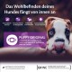 Wellness Core Puppy Dog Food, Dry Food for Puppies, Grain Free, High Meat Content, No Artificial Additives, Various Types and Sizes, 10 kg Wellness Core Puppy Dog Food, Dry Food for Puppies, Grain Free, High Meat Content, No Artificial Additives, Various Types and Sizes, 10 kg