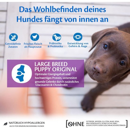 Wellness Core Puppy Dog Food, Dry Food for Puppies, Grain Free, High Meat Content, No Artificial Additives, Various Types and Sizes, 10 kg Wellness Core Puppy Dog Food, Dry Food for Puppies, Grain Free, High Meat Content, No Artificial Additives, Various Types and Sizes, 10 kg