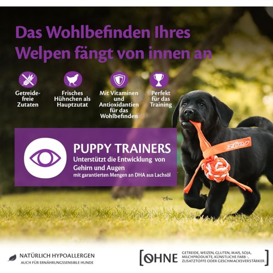 Wellness Core Puppy Dog Food, Dry Food for Puppies, Grain Free, High Meat Content, No Artificial Additives, Various Types and Sizes, 10 kg Wellness Core Puppy Dog Food, Dry Food for Puppies, Grain Free, High Meat Content, No Artificial Additives, Various Types and Sizes, 10 kg