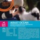 Wellness Core Small Breed Dry, Grain-Free Dog Food for Small Dogs with High Meat Content, Various Varieties Wellness Core Small Breed Dry, Grain-Free Dog Food for Small Dogs with High Meat Content, Various Varieties