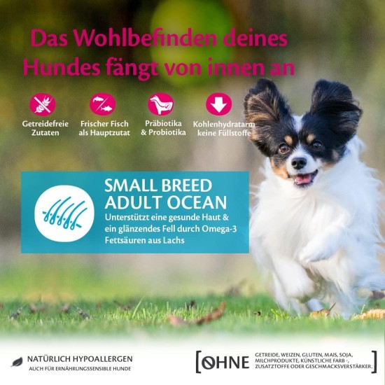 Wellness Core Small Breed Dry, Grain-Free Dog Food for Small Dogs with High Meat Content, Various Varieties Wellness Core Small Breed Dry, Grain-Free Dog Food for Small Dogs with High Meat Content, Various Varieties
