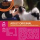 Wellness Core Small Breed Dry, Grain-Free Dog Food for Small Dogs with High Meat Content, Various Varieties Wellness Core Small Breed Dry, Grain-Free Dog Food for Small Dogs with High Meat Content, Various Varieties