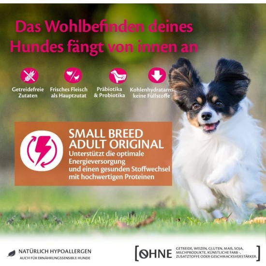 Wellness Core Small Breed Dry, Grain-Free Dog Food for Small Dogs with High Meat Content, Various Varieties Wellness Core Small Breed Dry, Grain-Free Dog Food for Small Dogs with High Meat Content, Various Varieties