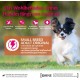 Wellness Core Small Breed Dry, Grain-Free Dog Food for Small Dogs with High Meat Content, Various Varieties Wellness Core Small Breed Dry, Grain-Free Dog Food for Small Dogs with High Meat Content, Various Varieties