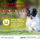 Wellness Core Small Breed Dry, Grain-Free Dog Food for Small Dogs with High Meat Content, Various Varieties Wellness Core Small Breed Dry, Grain-Free Dog Food for Small Dogs with High Meat Content, Various Varieties