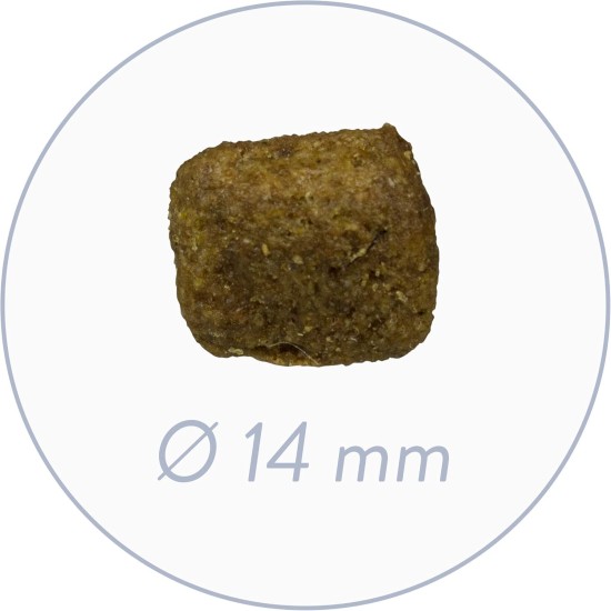 bosch HPC Active | Hundetrockenfutter für ausgewachsene Hunde aller Rassen mit gesteigerter Aktivität | 1 x 15 kg,Geflügel bosch HPC Active | Hundetrockenfutter für ausgewachsene Hunde aller Rassen mit gesteigerter Aktivität | 1 x 15 kg,Geflügel