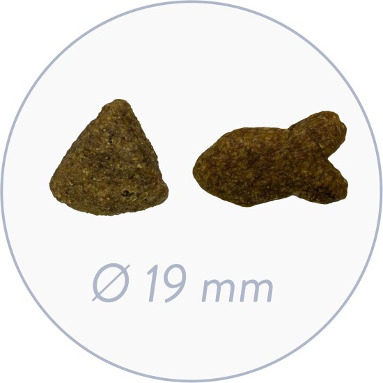 bosch HPC Adult mit frischem Lachs & Kartoffel | Hundetrockenfutter für ausgewachsene Hunde aller Rassen | 1 x 15 kg bosch HPC Adult mit frischem Lachs & Kartoffel | Hundetrockenfutter für ausgewachsene Hunde aller Rassen | 1 x 15 kg
