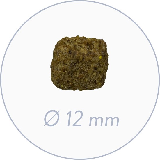 bosch HPC Senior | Hundetrockenfutter für ältere Hunde aller Rassen |Geflügel, 1 x 12.5 kg bosch HPC Senior | Hundetrockenfutter für ältere Hunde aller Rassen |Geflügel, 1 x 12.5 kg