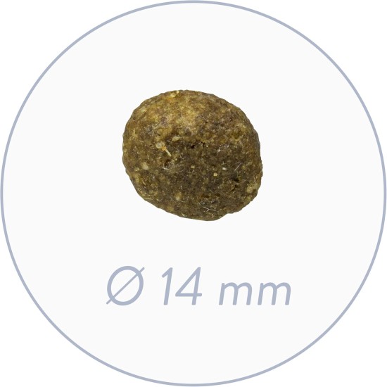 bosch HPC Sensitive Lamm & Reis | Hundetrockenfutter für ernährungssensible Hunde aller Rassen | 1 x 15 kg bosch HPC Sensitive Lamm & Reis | Hundetrockenfutter für ernährungssensible Hunde aller Rassen | 1 x 15 kg