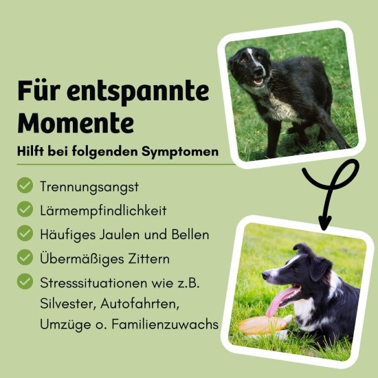 8 x 100 g Wet Food for Mixing, Makes 8 x 300 g Wet Food, Relaxation & Soothing, Spinach & Hemp & Medicinal Herbs, Insect as Monoprotein, Grain-Free, Hypoallergenic, Low Purine, for Dog Ice 8 x 100 g Wet Food for Mixing, Makes 8 x 300 g Wet Food, Relaxation & Soothing, Spinach & Hemp & Medicinal Herbs, Insect as Monoprotein, Grain-Free, Hypoallergenic, Low Purine, for Dog Ice
