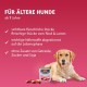 Animonda Gran Carno Adult Sensitive Wet Food for Adult Dogs, Pack of 6 Animonda Gran Carno Adult Sensitive Wet Food for Adult Dogs, Pack of 6
