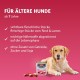 Animonda Gran Carno Adult Sensitive Wet Food for Adult Dogs, Pack of 6